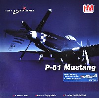 P-51D マスタング リッジ・ランナー 3