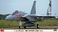 F-15J イーグル 戦技競技会 2013