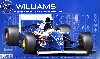 ウィリアムズ FW16 1994年 ブラジルグランプリ仕様 (レジン製塗装済み ドライバーフィギュア付)