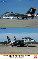 F-14A/B トムキャット ジョリー ロジャース ヒストリー