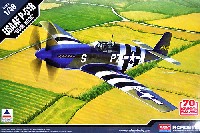 USAAF P-51B マスタング BLUE NOSE