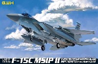 F-15C イーグル MSIP 2