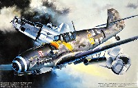 メッサーシュミット Bf109G-6 /W.Gr.2 ボマーキラー