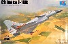 中国 J-10B 複座型戦闘機