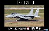 F-15J イーグル 第305飛行隊 百里基地