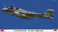 EA-6B プラウラー U.S.ネイビー フェアウェル