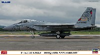 F-15J/DJ イーグル 201SQ 30周年記念