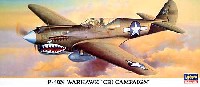 P-40N ウォーホーク CBI戦線