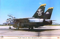 F-14B トムキャット ジョリーロジャース VF-103