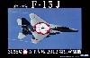 航空自衛隊 F-15J (305SQ/百里基地 2012 特別塗装機)