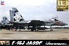 F-15J 航空自衛隊 戦技競技会 2013 (エッチングパーツ付き)