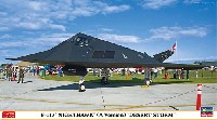 F-117A ナイトホーク デザート ストーム