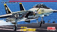 アメリカ海軍 F-14A トムキャット