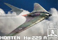 ホルテン Ho-229A