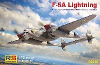 1/72 ロッキード P-38 ライトニング プラモデル,完成品,レジン - 商品