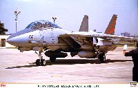 F-14A トムキャット ブラックナイツ ヒストリー