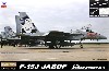 F-15J 航空自衛隊 戦技競技会 2013 追加兵装付き