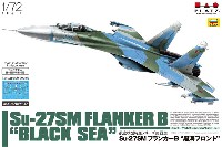 Su-27SM フランカー B 黒海フロント