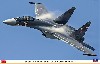 Su-35S フランカー セルジュコフ カラースキーム