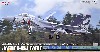 航空自衛隊 F-15J イーグル 第303飛行隊 2018 小松基地航空祭 記念塗装機 ファイティング ドラゴン