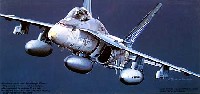 F/A-18A ホーネット ウォーホークス