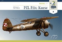 PZL P.11c 東部国境地帯