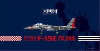 アメリカ空軍 F-15E ストライクイーグル D-Day 75周年記念塗装