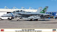 EA-18G グラウラー VAQ-135 ブラック レイブンズ 50周年記念