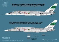 RA-5C ヴィジランティ RVAH-9 USS ニミッツ 1976-77年 デカール
