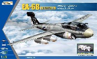 EA-6B プラウラー VMAQ-2 プレイボーイズ