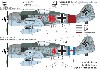 フォッケウルフ Fw190A-8/R2 5./JG300 デカール