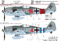 フォッケウルフ Fw190A-8/R2 5./JG300 デカール