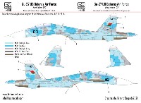 スホーイ Su-27UB ベラルーシ空軍 デカール